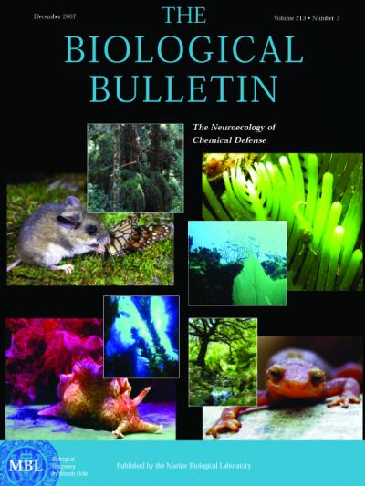 The Biological Bulletin, December 2007