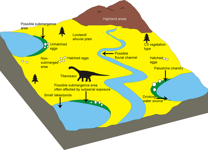 : A block diagram showing the interpreted depositional environment of the Lameta Formation in the study areas.