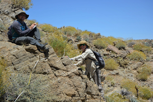 Sonoran Desert research sampling