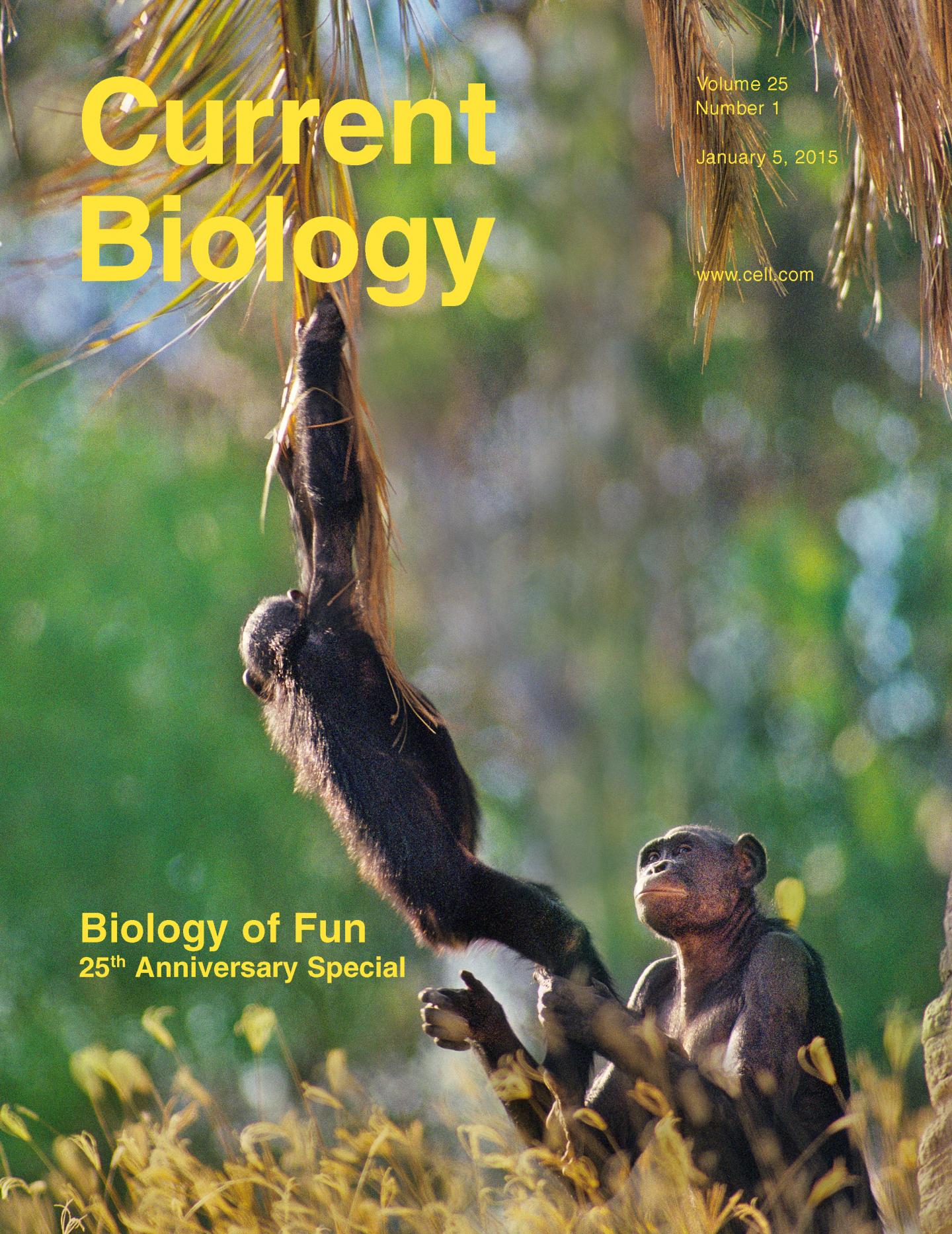 Biology of Fun Special Issue Cover