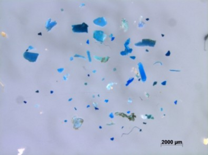 Differences between samples of microplastic particles