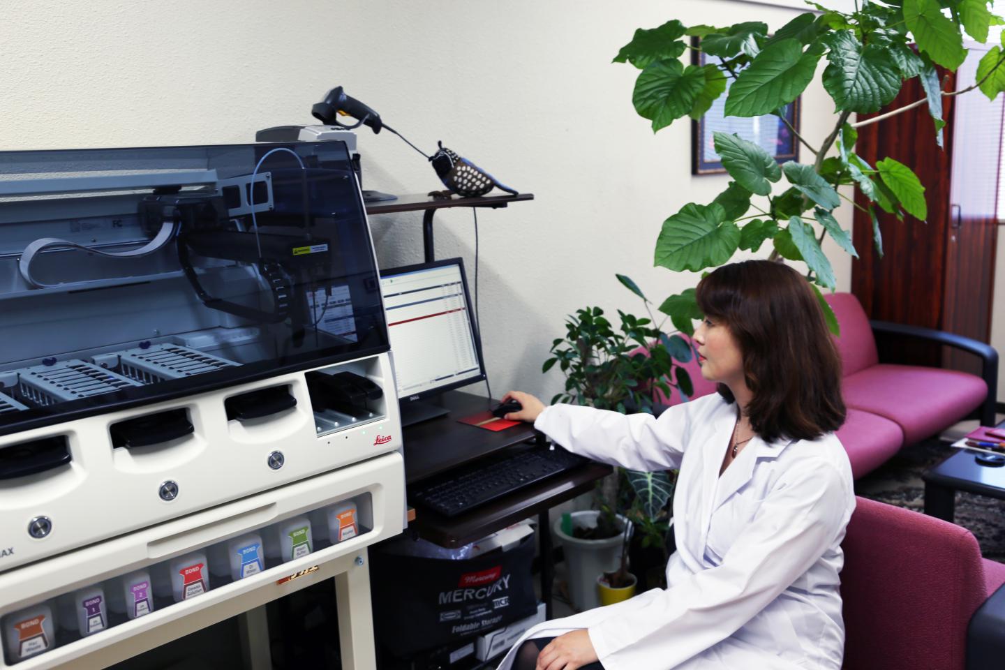 Kanako Niimori-Kita, Kumamoto University