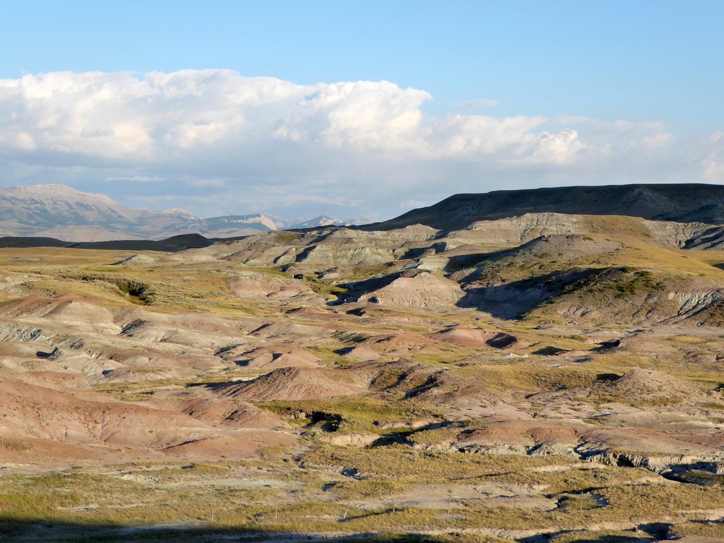 Landscape Of Bone Bed In Western Montana Where <i>Maiasaura</i> Fossils Were Collected