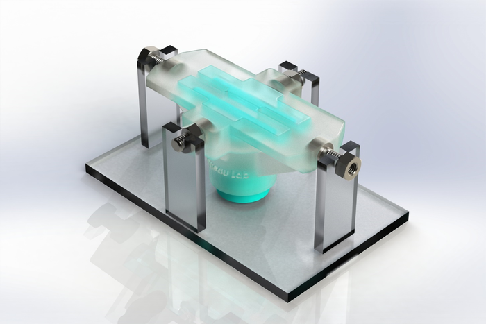 Vocal cord bioreactor