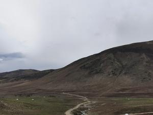 Grassland degradation on the Qinghai-Tibetan Plateau