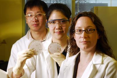 Georgia Tech Researchers (2 of 2)