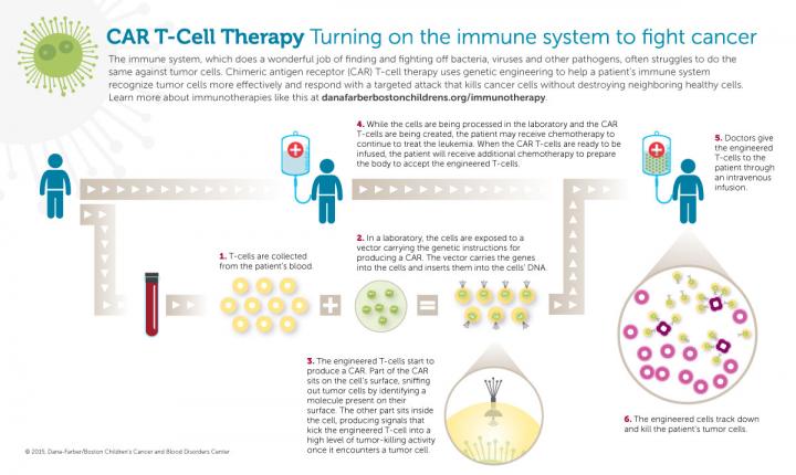 How CAR T-cell Therapy Works