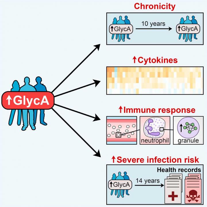 Biology of GlycA