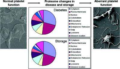 Proteomics Data