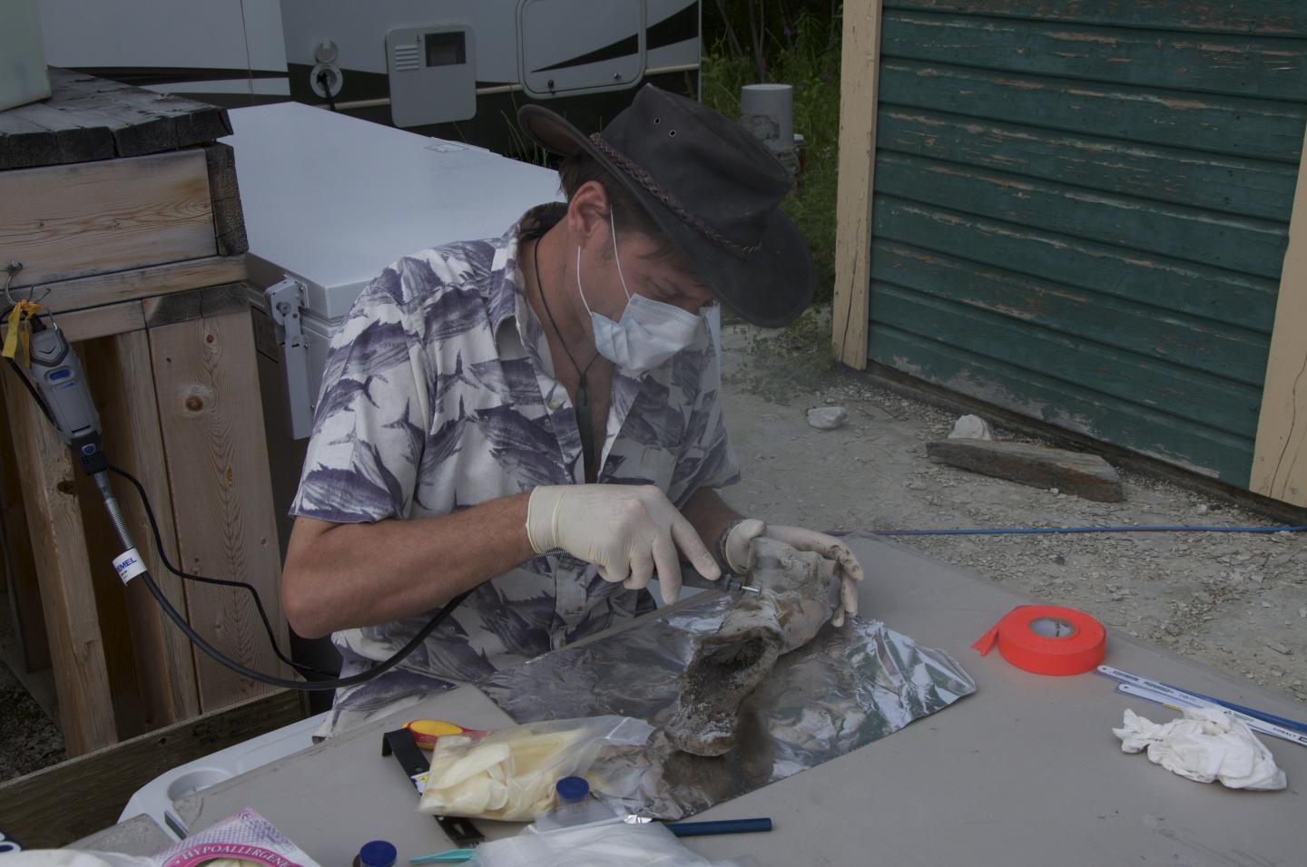 Sampling Permafrost Bison Bone