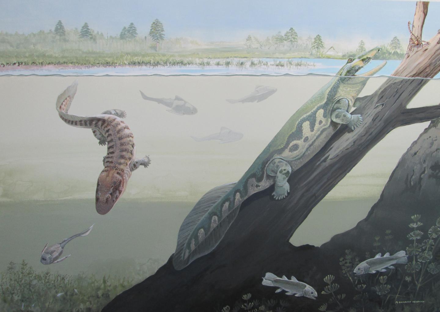 Shifting the Thinking on Tetrapod Evolution: Ancient Four-Limbed Animals Lived Near the Poles