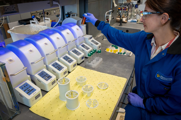 Princeton graduate student conducting research