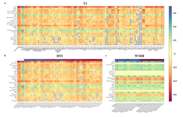 Figure 1 Correlation analysis of multidimensional health risk factors and multimodal brain imaging features