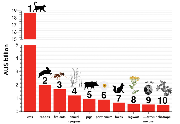 Top 10 worst invasive species in Australia