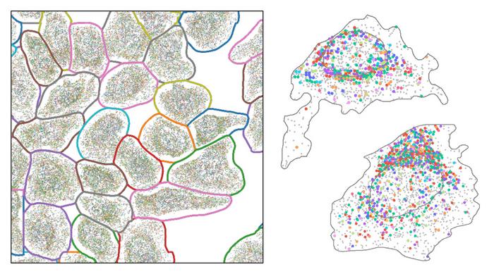 Spatial Transcriptomics data