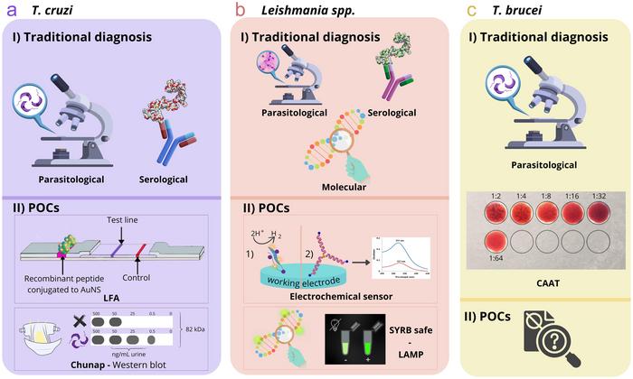 Traditional Diagnosis and New POCs for Diseases Caused by Trypanosoma cruzi, Leishmania spp., and Trypanosoma brucei.