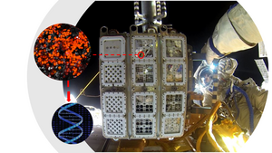 EXPOSE-R2 flight hardware