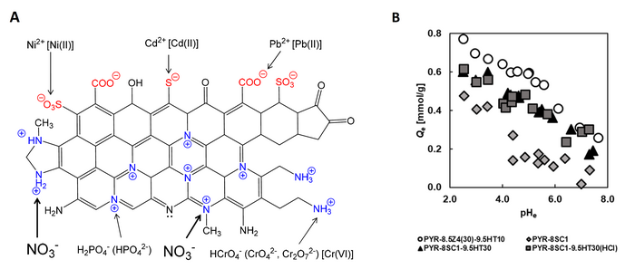 Schematic diagram of surface functional groups on the carbonaceous adsorbent developed by the researchers.