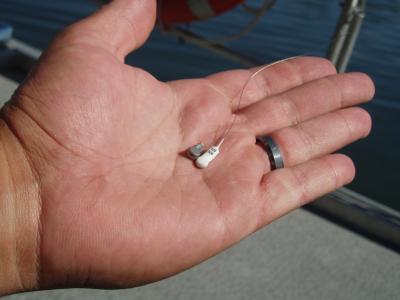 Radio and Acoustic Tag in Hand