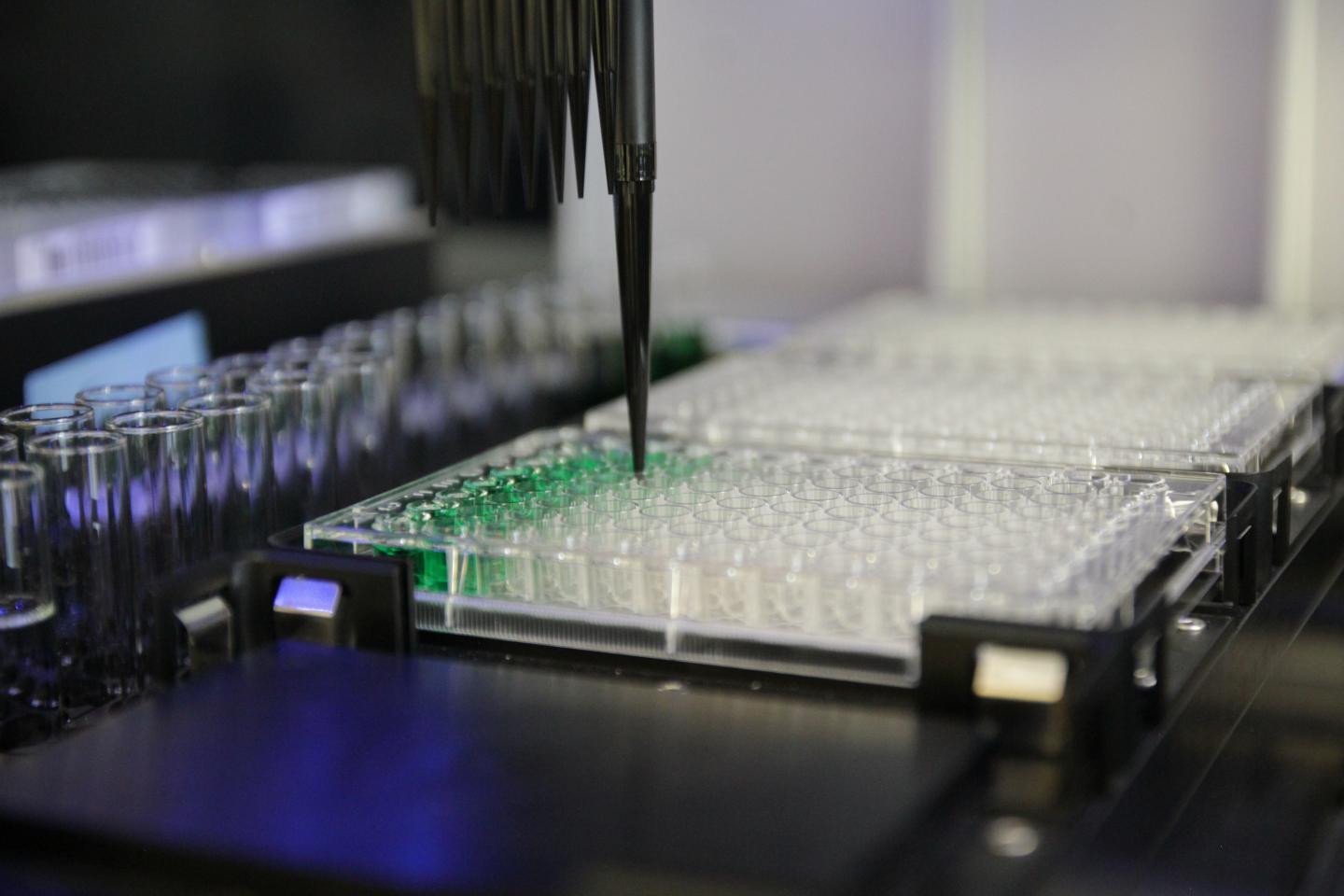 Synthesizing Synthetic Polymers