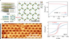 USTC Realizes Room-temperature Long-range Ferromagnetic Order in a Confined Molecular Monolayer