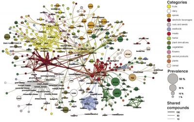 Flavor Network Backbone