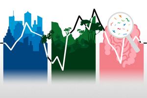 Graphic showing three domains: urban employment, tropical forests, gut microbiomes