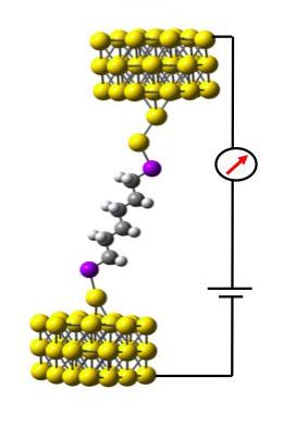 Measuring a Single Molecule Hexane Circuit