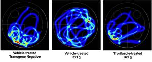 Visualizing the Brain