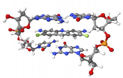 Computer Program Quickly Analyzes Molecular Interactions (1 of 2)