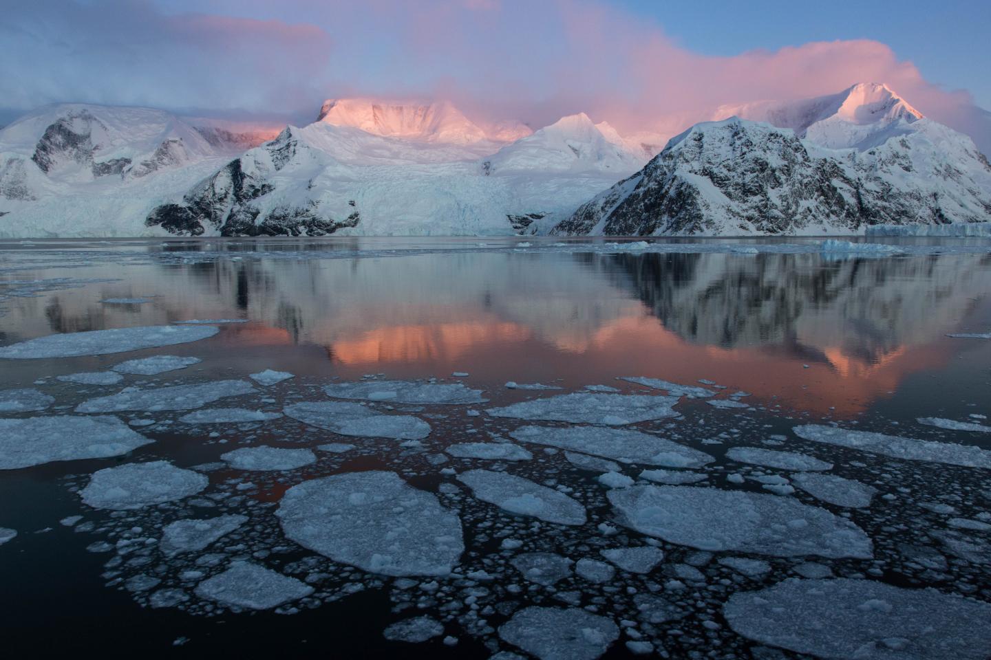 Andvord Bay, Antarctica