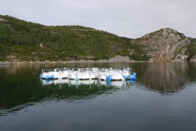 Measuring the Biological Pump