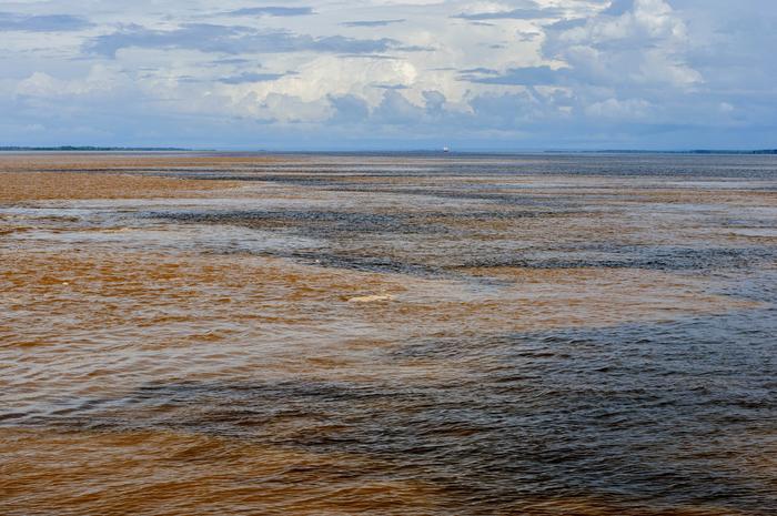 An international team of researchers have discovered how biomolecules in nature are transformed to yield complex natural organic matter found in rivers and lakes. They examined dissolved organic matter from four tributaries of the Amazon River, pictured
