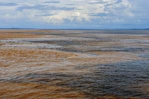 An international team of researchers have discovered how biomolecules in nature are transformed to yield complex natural organic matter found in rivers and lakes. They examined dissolved organic matter from four tributaries of the Amazon River, pictured