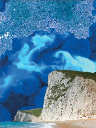 <i>E. huxleyi</i> and the White Cliffs of Dover