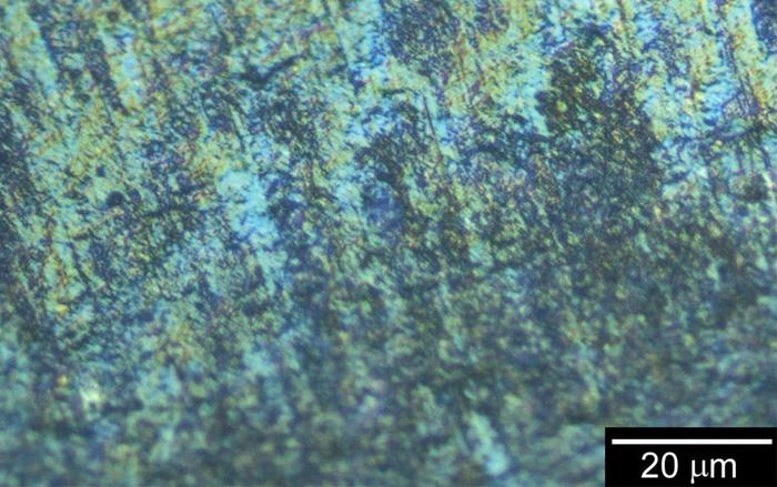 Circularly polarized differential interference contrast microscopy image of the D-PANI pellet