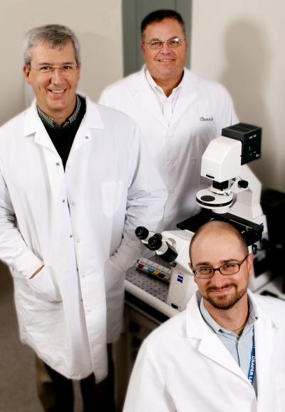 United in Fight against Malaria