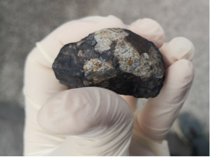 A 48-gram piece of the Novo Mesto meteorite.