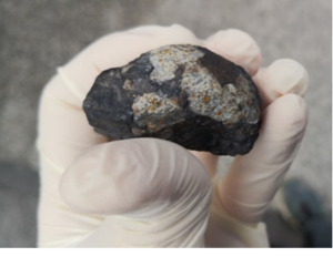 A 48-gram piece of the Novo Mesto meteorite.