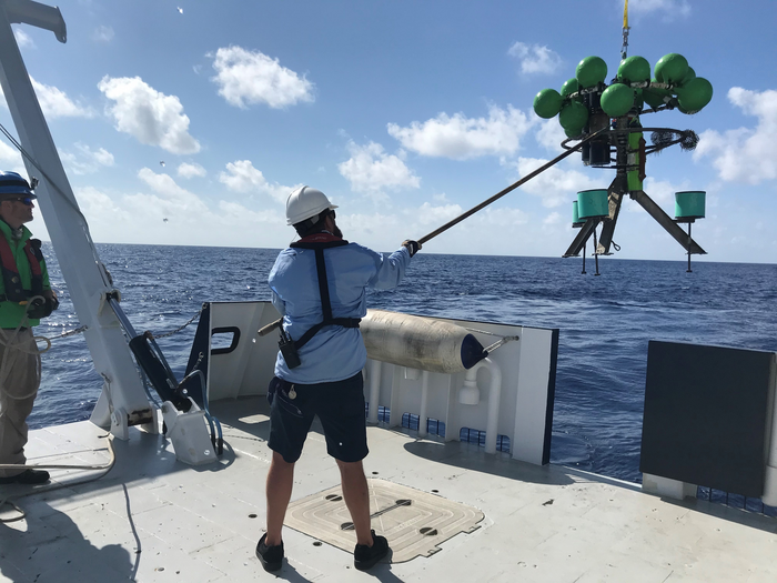 New Tool Will Assess Water Discharge Impacts from Florida’s Everglades