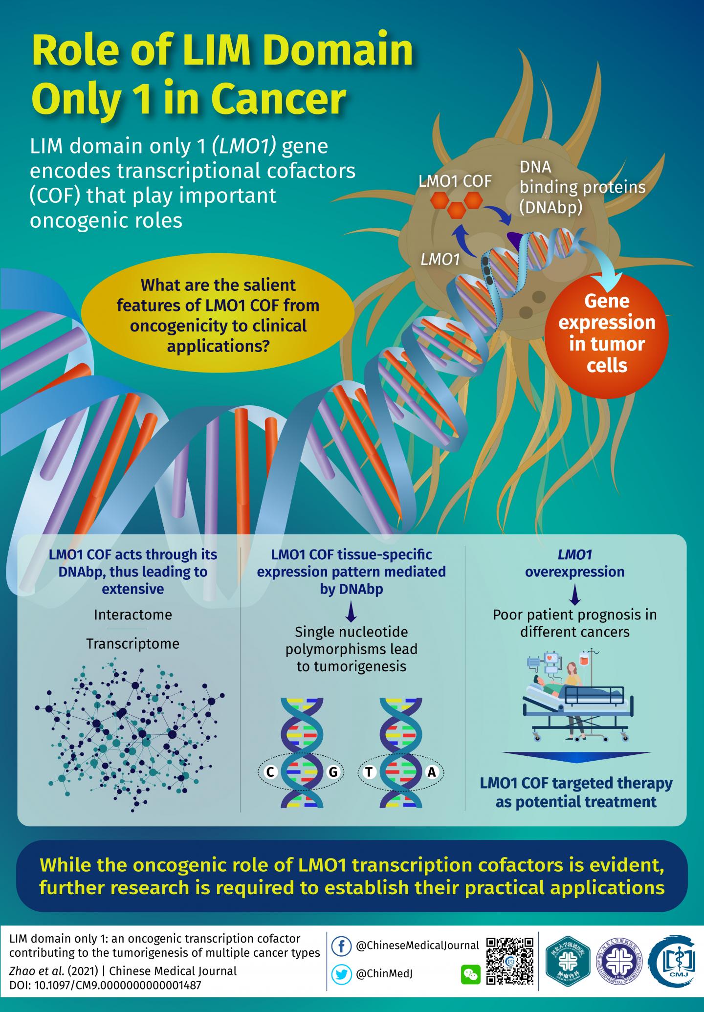 LIM domain only 1 One gene, many roles in cancer Science Codex