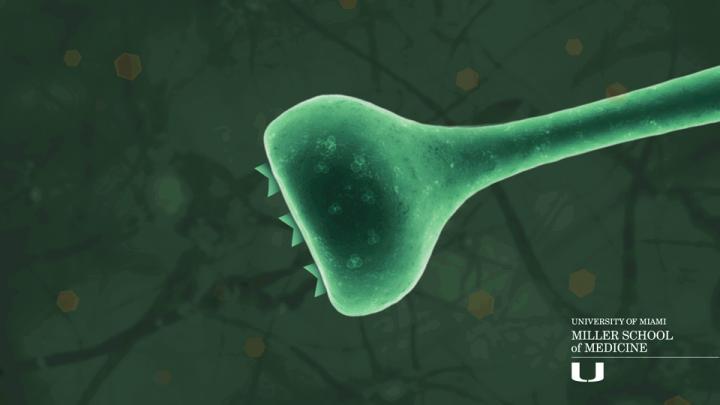 CB2 Receptor Interacts with Compound