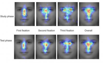 When You Look at a Face, You Look Nose First
