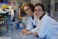 Elena Monte y Guiomar Martin, Centre for Research in Agricultural Genomics