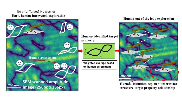 This graphic depicts the workflow of the human-AI collaborator system developed at ORNL to improve experimentation. Credit: Arpan Biswas and Rama Vasudevan/ORNL, U.S. Dept. of Energy