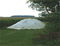 Gypsum in Field