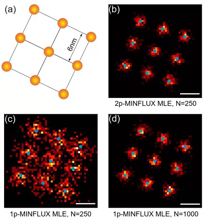 Figure 1. Simulated imaging results of two-photon MINFLUX