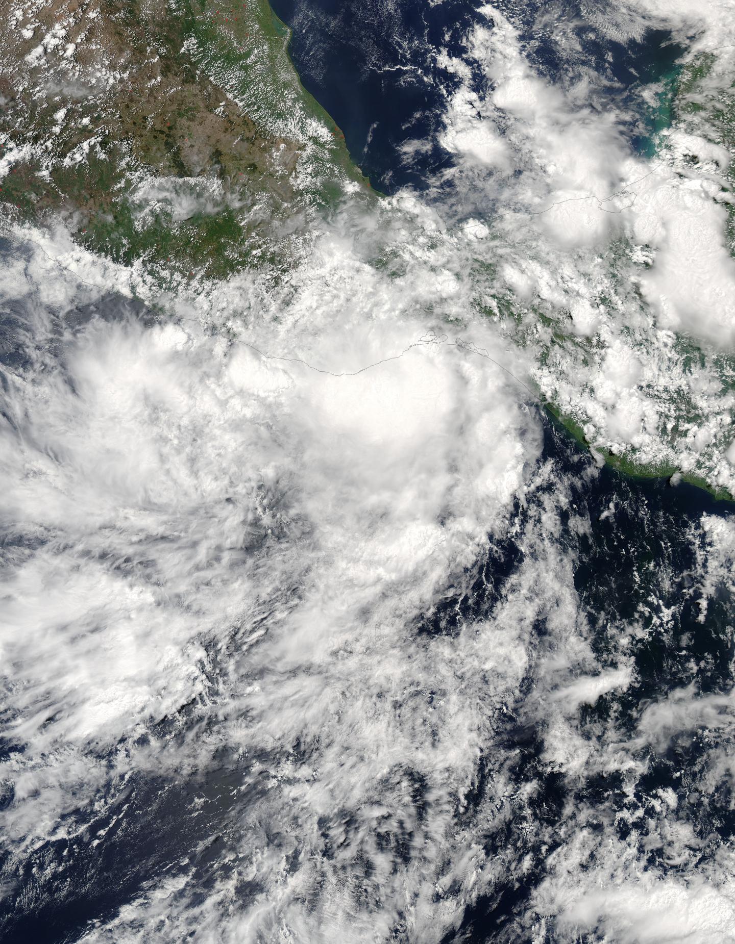 Aqua Image of Calvin