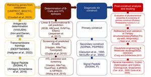 A flowchart of the methodology used in the design of the detection kit.