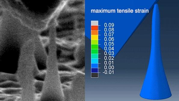 Nanoscale Diamond Needles